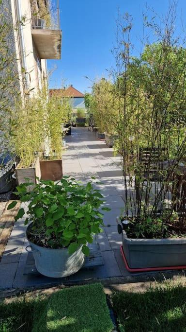 Gite La Passerelle Ostheim Exterior foto